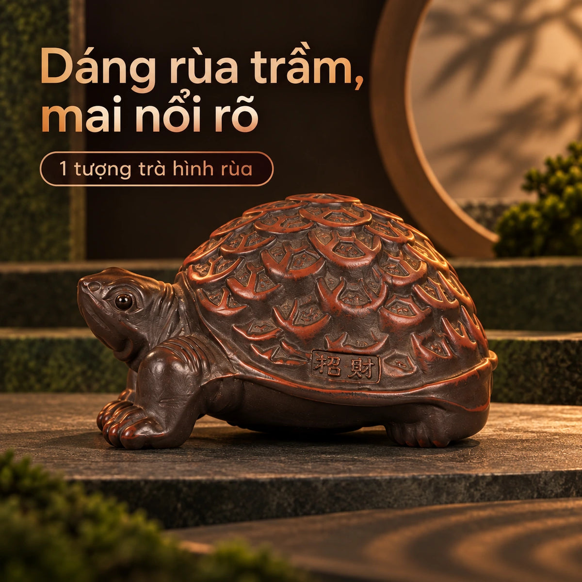 Trà sủng · Rùa Kim Tiền