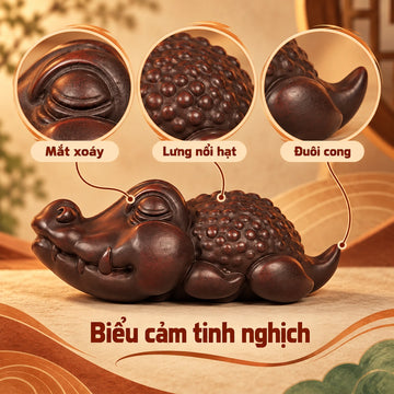 Trà sủng · Cá Sấu