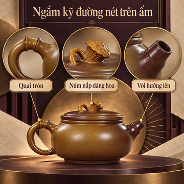 Ấm Nê Hưng · Kim Liên