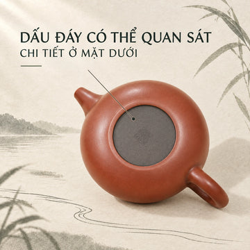 Ấm Nê Hưng · Ngư Thượng
