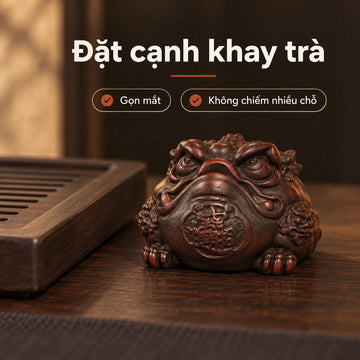 Trà sủng · Kim Thiềm Ba Chân