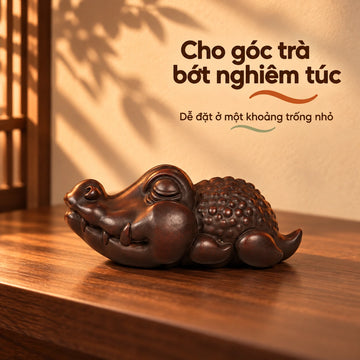 Trà sủng · Cá Sấu