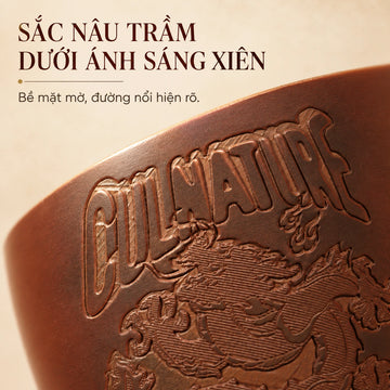 Chén Nê Hưng · Viêm Long