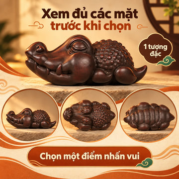 Trà sủng · Cá Sấu