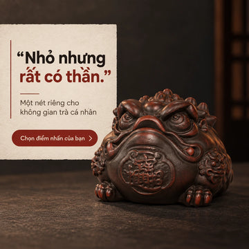 Trà sủng · Kim Thiềm Ba Chân