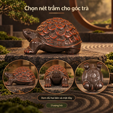 Trà sủng · Rùa Kim Tiền