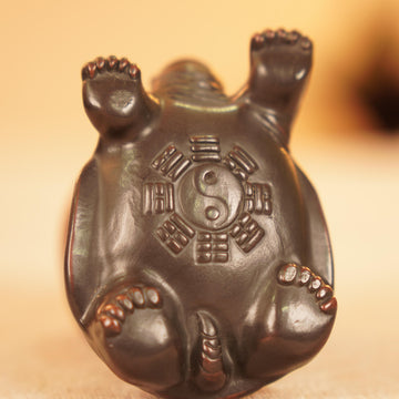 Trà sủng · Rùa Kim Tiền