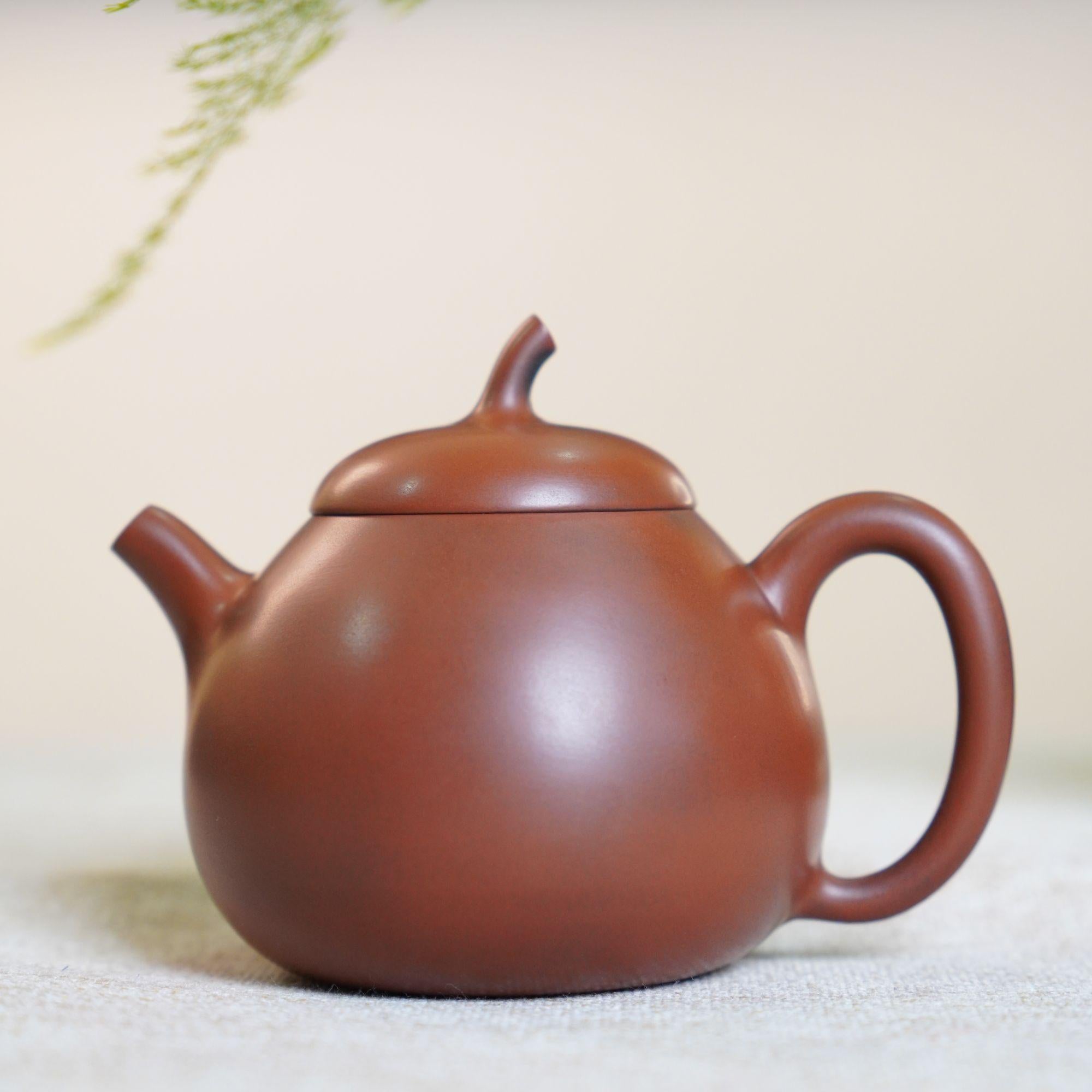 Ấm Tiểu Hương Qua